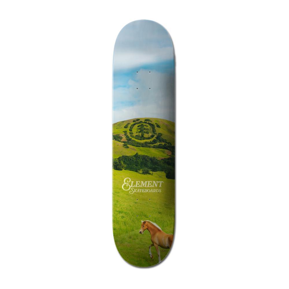 Element Team Skateboard Deck Roam Free Assorted 8.5"